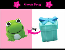 Load image into Gallery viewer, New Fidget Toys Flip Gift Box Cute Pet Pinch Animal Silicone Toy Expression Emotional Silicone Decompression To Adult Kid Toy