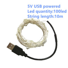Load image into Gallery viewer, Cooper Wire Cabinet Lights 2M 5M 10M LED String Lights Christmas Home Decor Battery Operated Christmas Wedding Lamp Guirlande